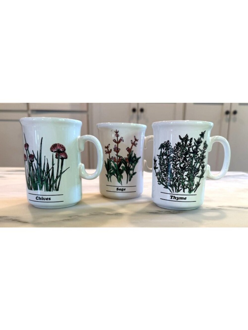 Vintage Herb Mugs Set Bloomrite 1992 Botanical Kitchen Cups